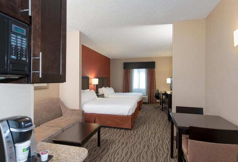 스위트, Holiday Inn Express Hotel & Suites Grand Rapids North, An Ihg