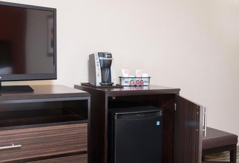 스위트, Holiday Inn Express Hotel & Suites Grand Rapids North, An Ihg