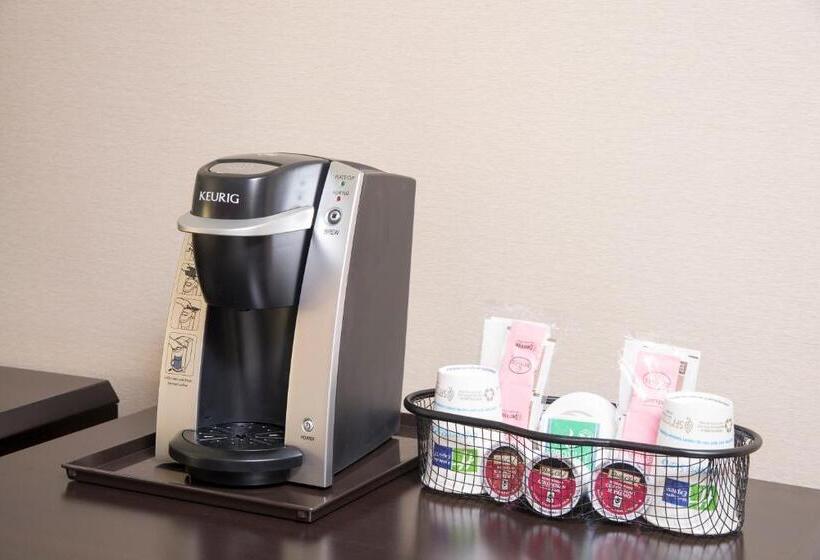 장애인을 위한 킹사이즈 침대 스탠다드 룸, Holiday Inn Express Hotel & Suites Grand Rapids North, An Ihg