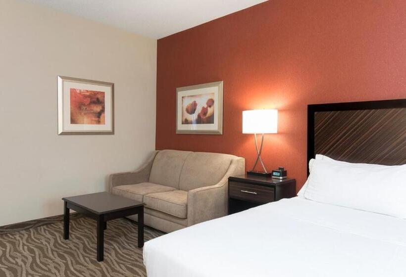 스탠다드 룸 킹사이즈 침대, Holiday Inn Express Hotel & Suites Grand Rapids North, An Ihg