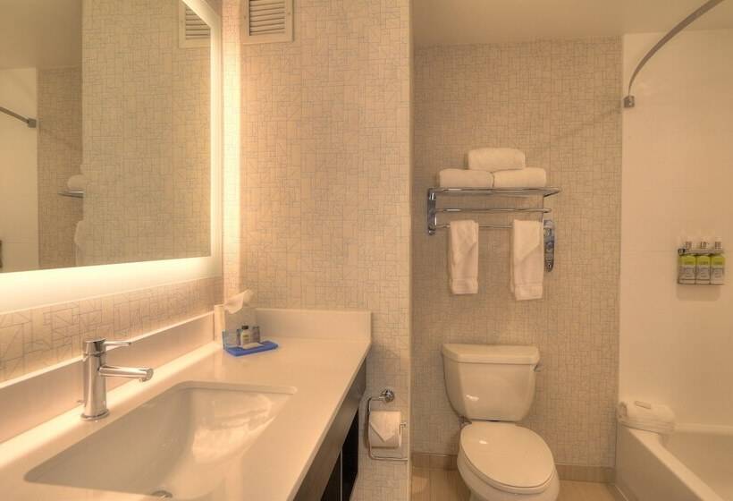 Люкс, Holiday Inn Express Hotel & Suites Mobile Saraland, An Ihg