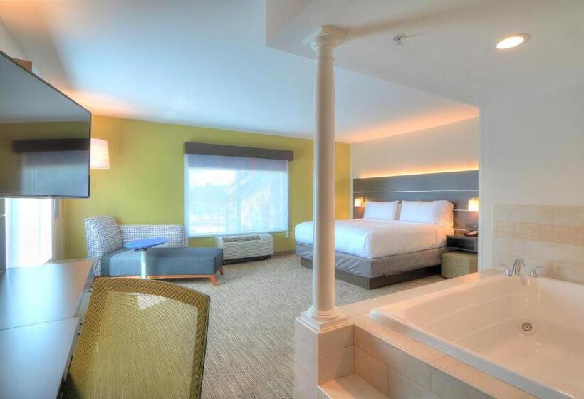 Стандартный Номер Кровать Кинг, Holiday Inn Express Hotel & Suites Mobile Saraland, An Ihg