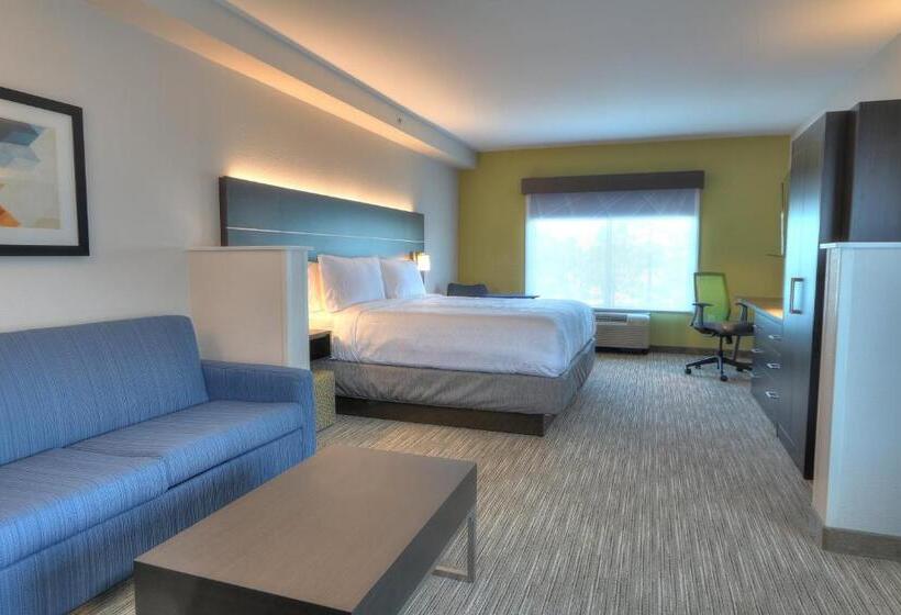 Люкс Кровать Кинг, Holiday Inn Express Hotel & Suites Mobile Saraland, An Ihg