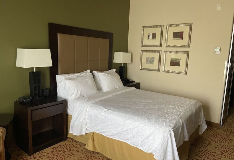 Quarto Estandar, Holiday Inn Express Hotel & Suites Silt   Rifle, An Ihg