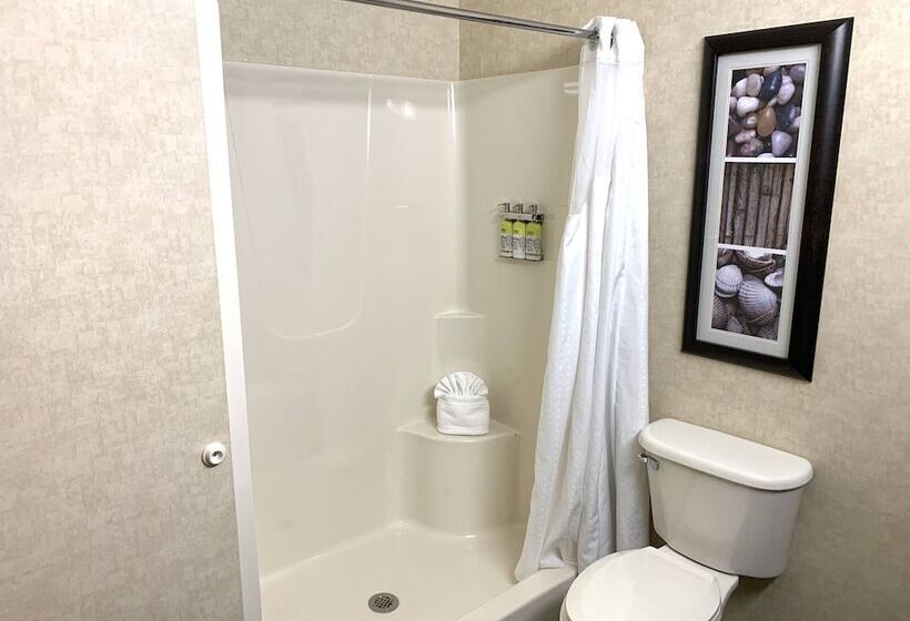 Номер Стандарт 2 Двуспальные Кровати, Holiday Inn Express Holland, An Ihg