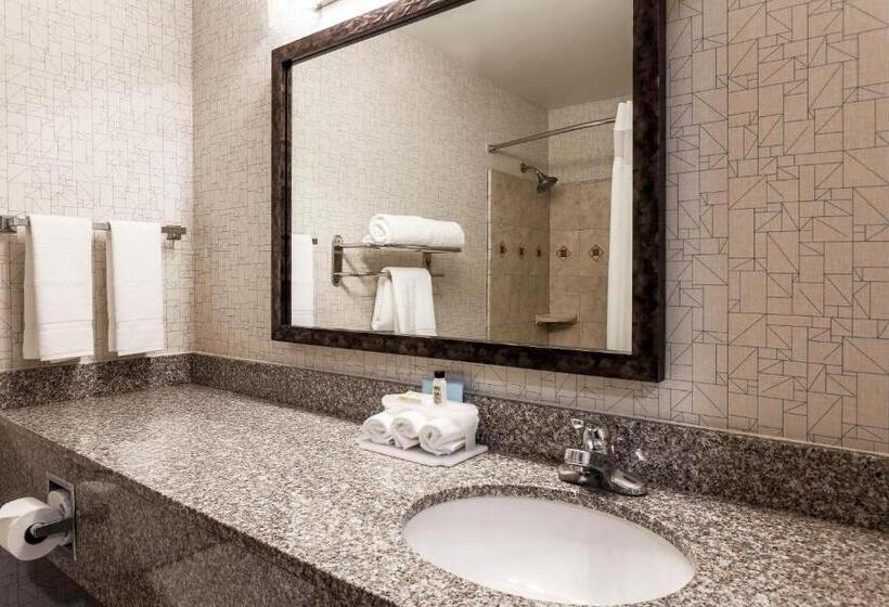스탠다드 룸, Holiday Inn Express Lancaster, An Ihg