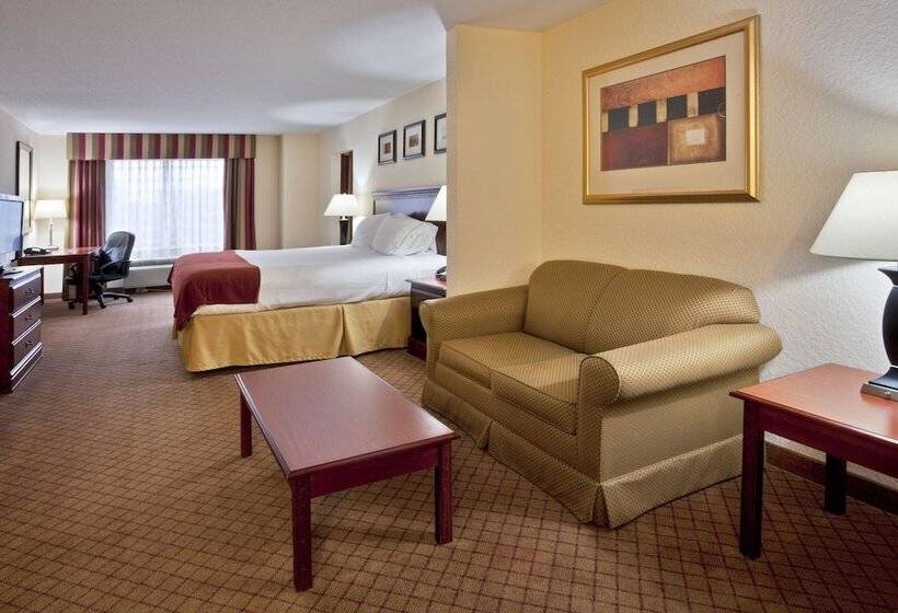 스위트, Holiday Inn Express St. Petersburg North / I 275, An Ihg