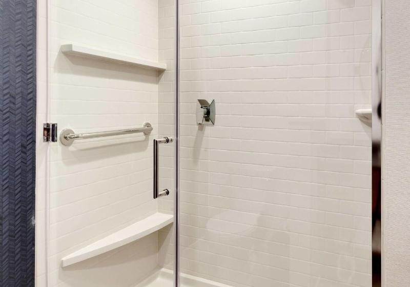 스위트 킹사이즈 침대, Holiday Inn Express St. Petersburg North / I 275, An Ihg
