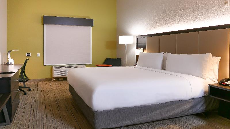 장애인을 위한 킹사이즈 침대 스탠다드 룸, Holiday Inn Express St. Petersburg North / I 275, An Ihg