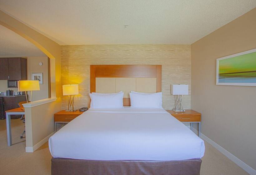 스탠다드 룸, Holiday Inn & Suites Spring   The Woodlands