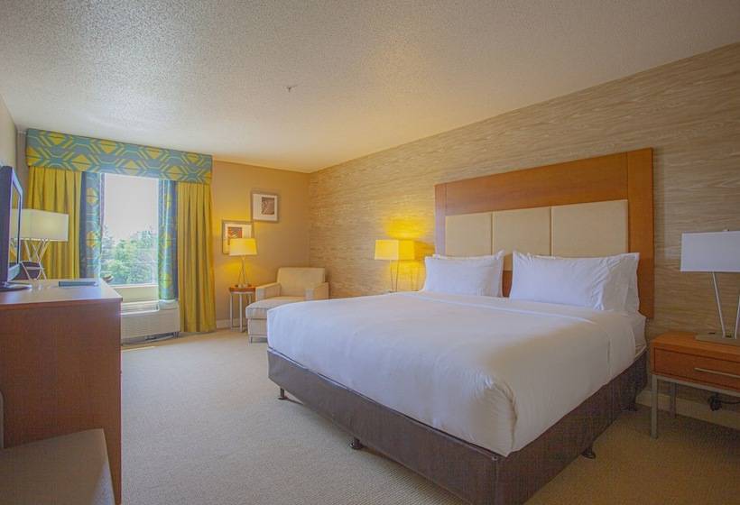 Номер Стандарт, Holiday Inn & Suites Spring   The Woodlands