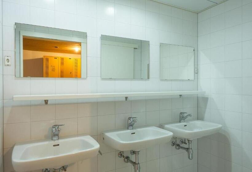 اتاق استاندارد با سرویس بهداشتی مشترک, Montreux Youth Hostel