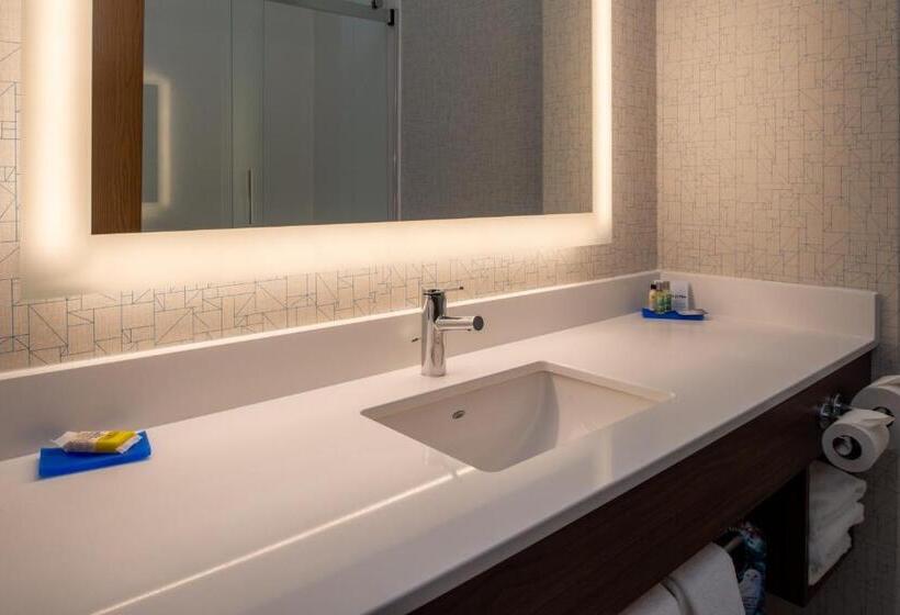 스탠다드 룸 킹사이즈 침대, Holiday Inn Express Hotel & Suites Gunnison, An Ihg