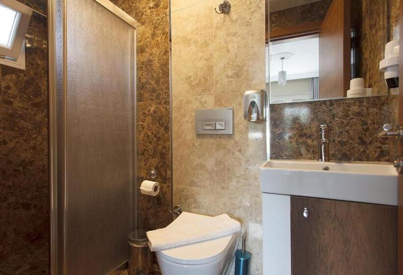 اتاق استاندارد, Green Peace