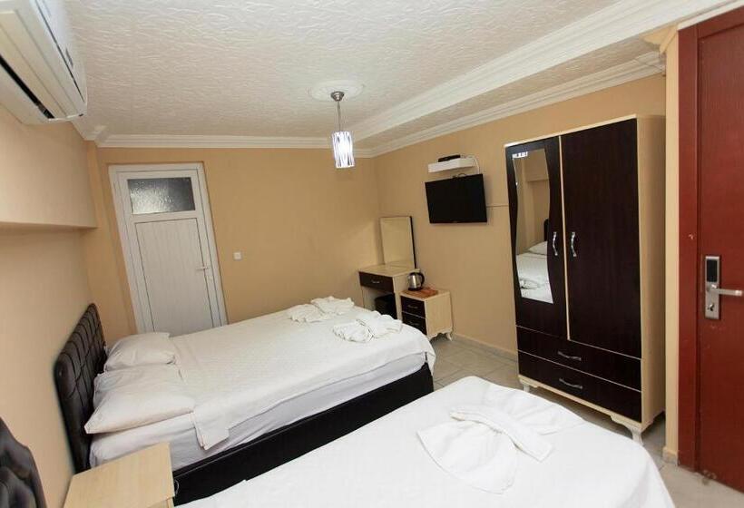 اتاق استاندارد سه نفره, Green Peace