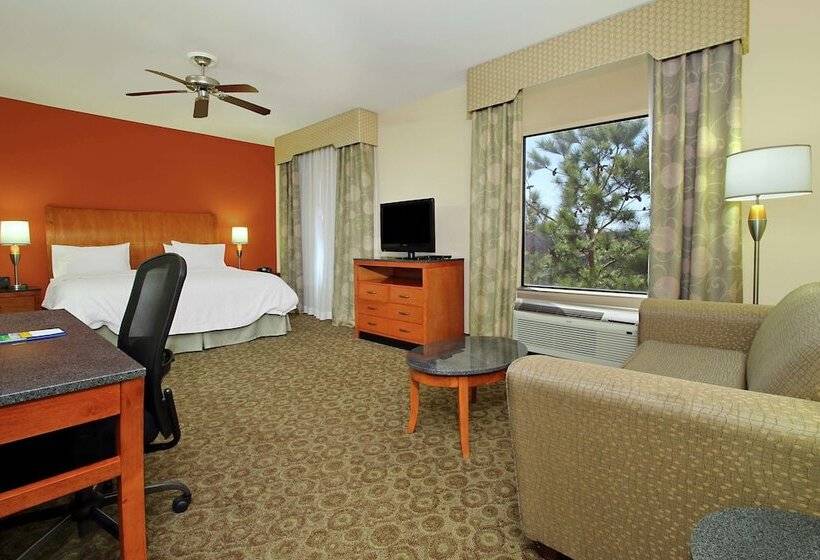 חדר סטודיו סטנדרד, Hampton Inn & Suites Buffalo