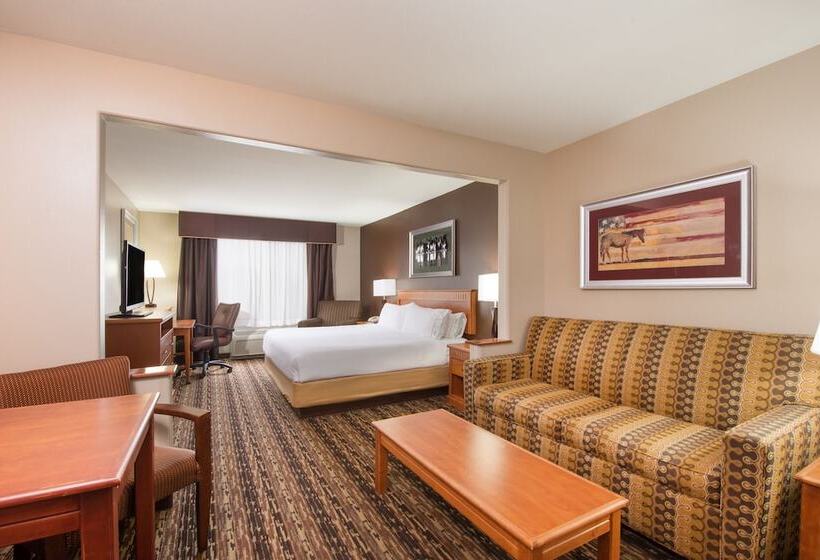 장애인을 위한 스위트, Holiday Inn Express & Suites Douglas, An Ihg