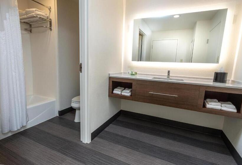 Suite Letto King, Holiday Inn Hotel & Suites Memphis Wolfchase Galleria, An Ihg
