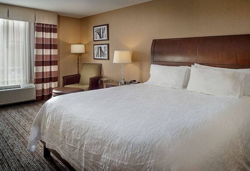 带大床的标准间, Hilton Garden Inn St. Louis Airport