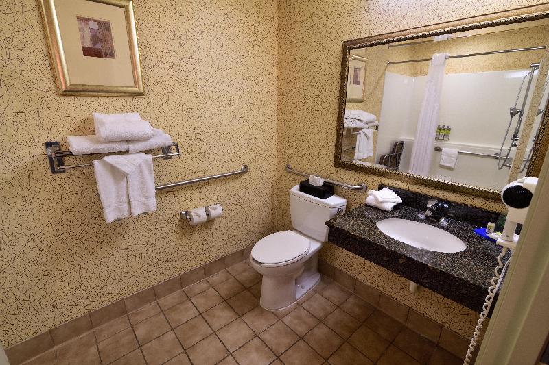 Стандартный Номер Кровать Кинг, Holiday Inn Express Hotel & Suites Idaho Falls, An Ihg