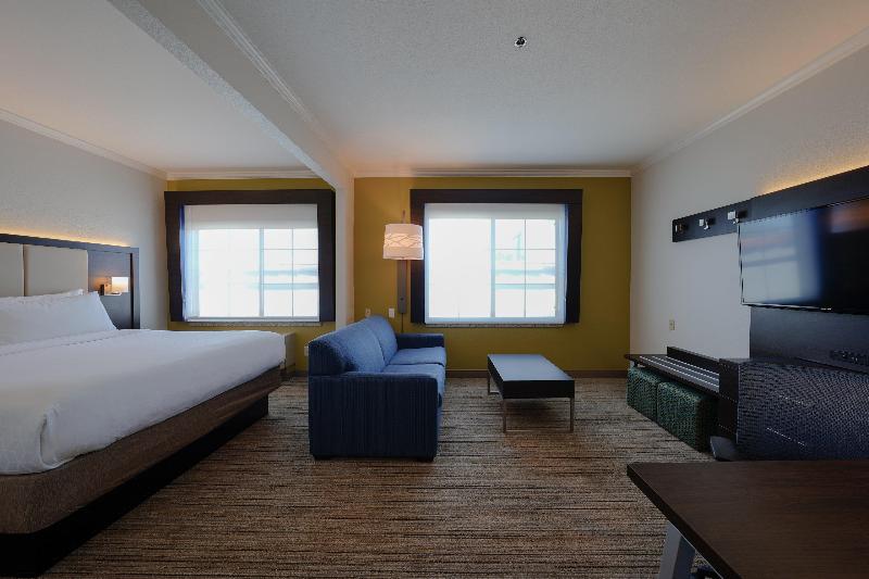 Люкс Кровать Кинг, Holiday Inn Express & Suites Santa Clara   Silicon Valley, An Ihg