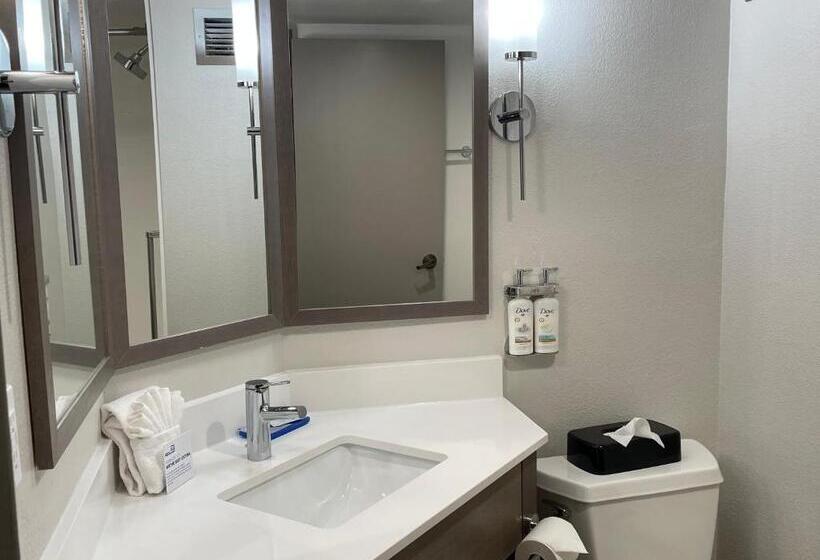 스탠다드 룸 킹사이즈 침대, Holiday Inn Express Burlington, An Ihg