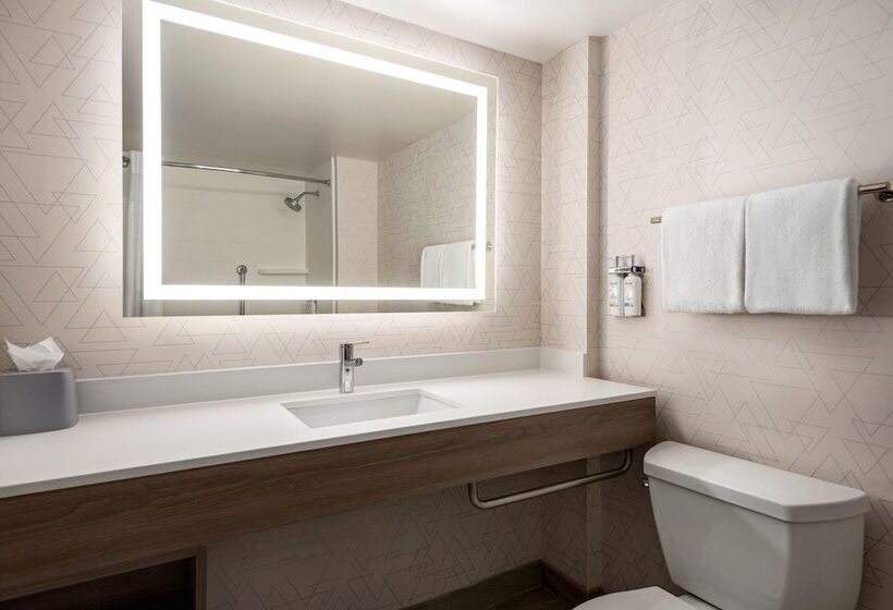 스탠다드 룸, Holiday Inn Express & Suites Mobile West I 10, An Ihg