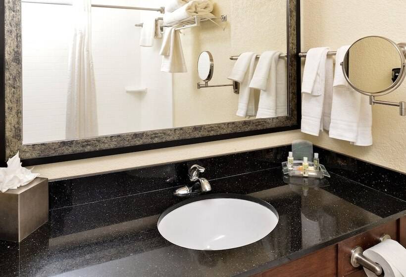 스탠다드 룸, Holiday Inn Montgomery South Airport, An Ihg