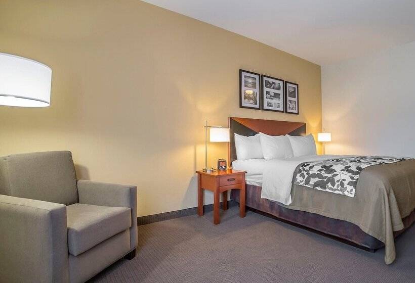 Люкс, Sleep Inn & Suites