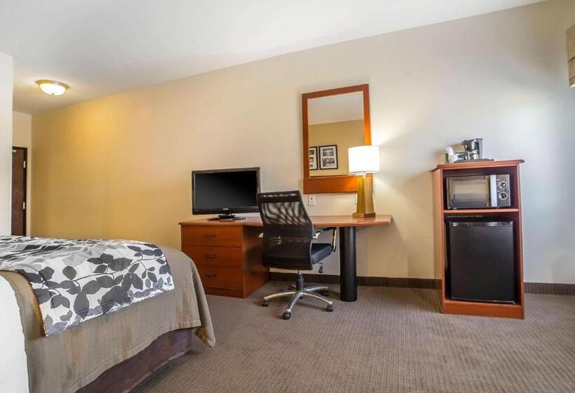 Стандартный Номер Кровать Кинг, Sleep Inn & Suites