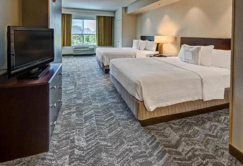 Студия Стандарт, Springhill Suites By Marriott New Bern