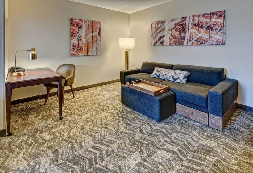 Студия Стандарт, Springhill Suites By Marriott New Bern