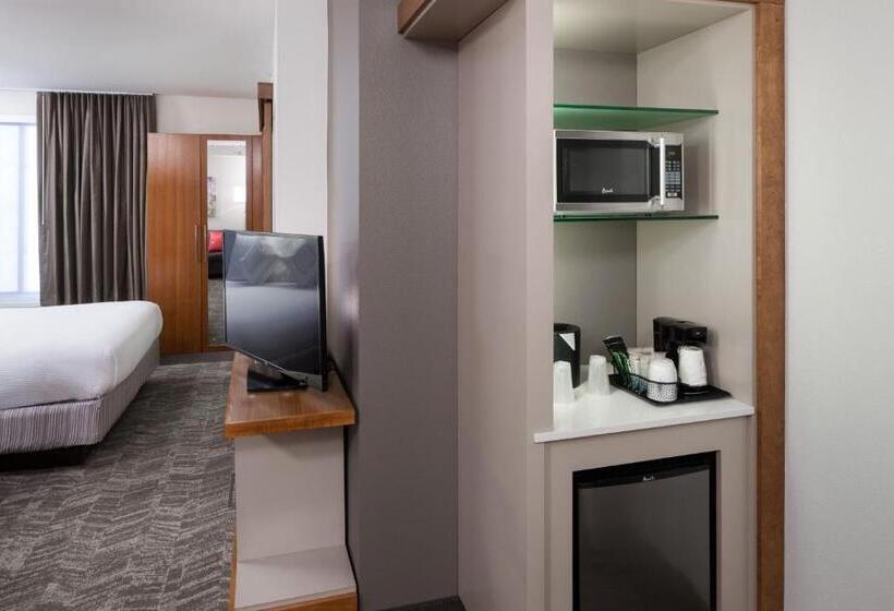 Студио Стандарт Кровать Кинг, Springhill Suites By Marriott Salt Lake City Airport