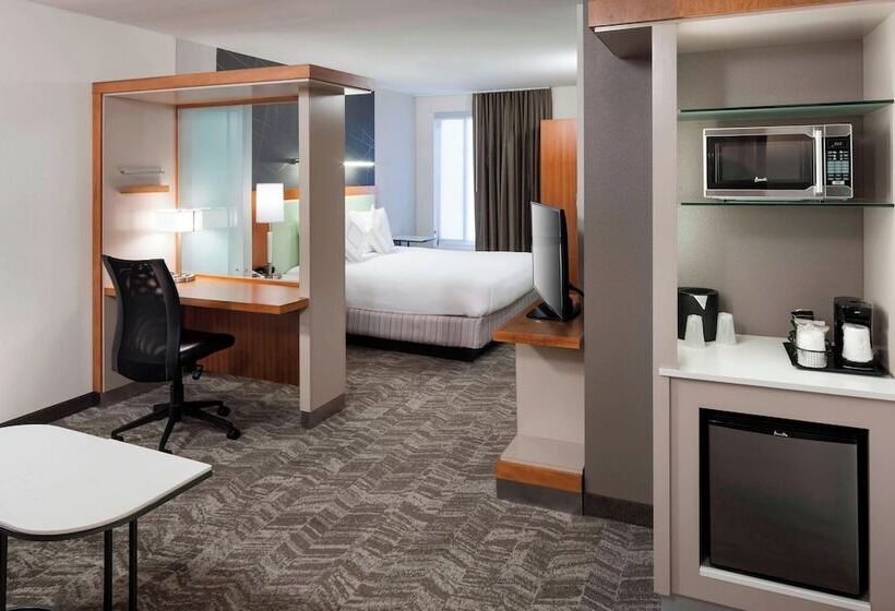 Студия Стандарт, Springhill Suites By Marriott Salt Lake City Airport