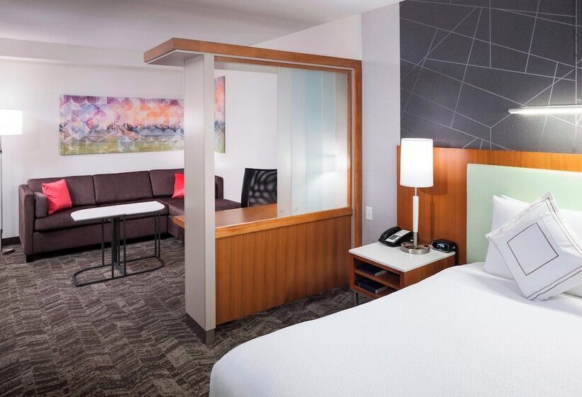 Студия Стандарт, Springhill Suites By Marriott Salt Lake City Airport
