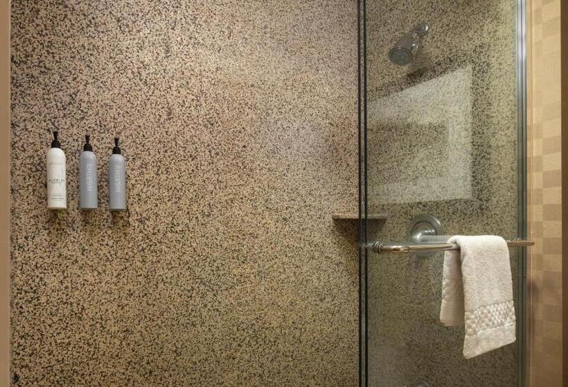 Люкс Кровать Кинг, Residence Inn Minneapolis Plymouth