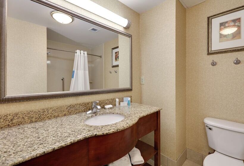Студия Стандарт, Hampton Inn & Suites Southern Pines Pinehurst
