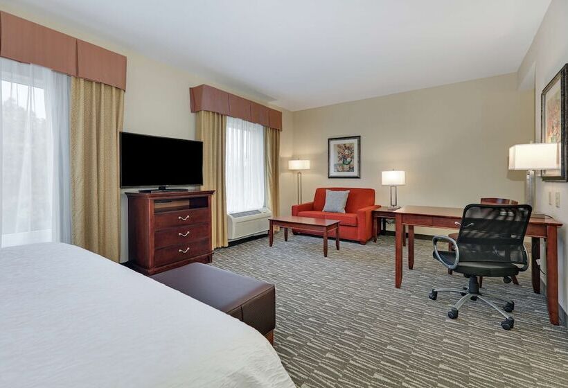 Студия Стандарт, Hampton Inn & Suites Southern Pines Pinehurst