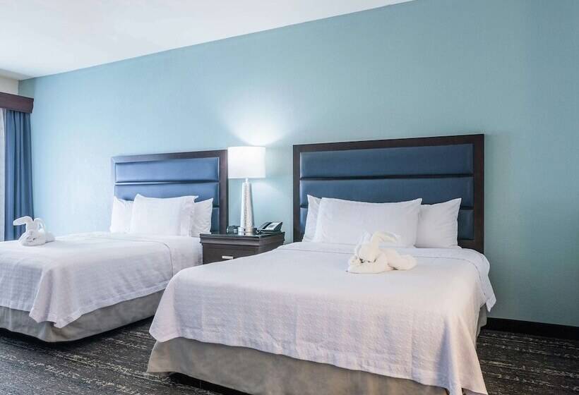 套房, Homewood Suites By Hilton Miami Airport West