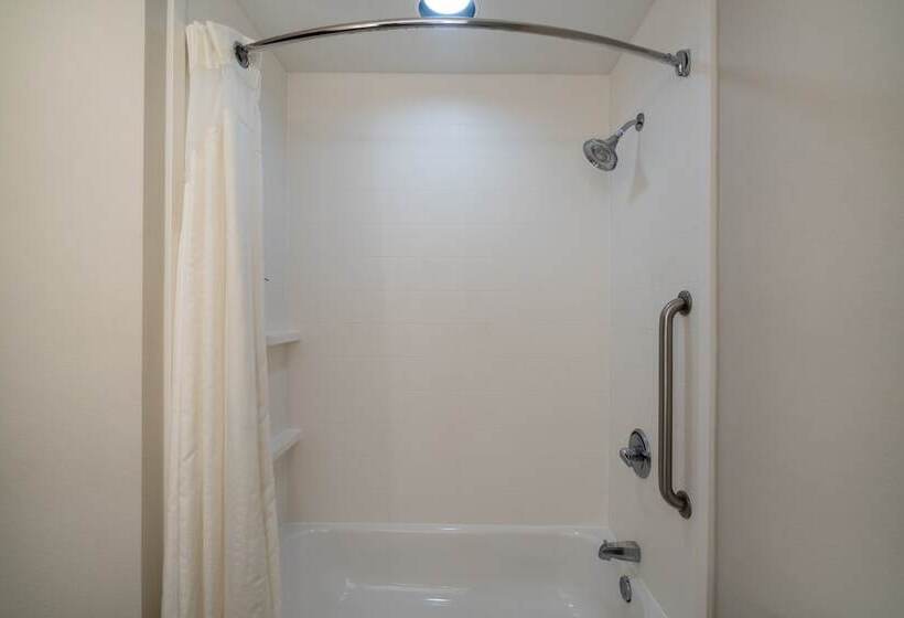 Люкс, Holiday Inn Express Hotel & Suites Talladega, An Ihg