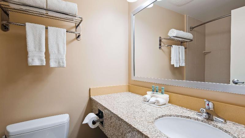 Suite Cama King, Holiday Inn Express Hotel & Suites Terre Haute, An Ihg