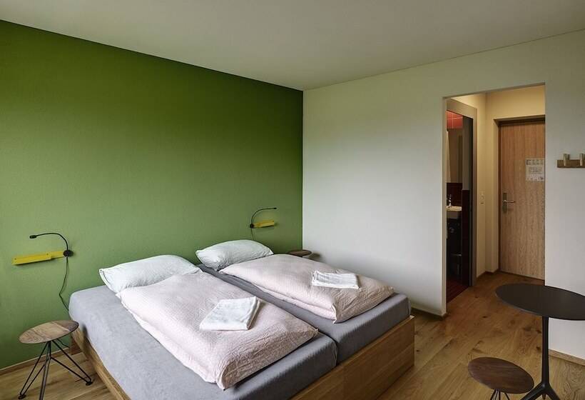 اتاق استاندارد یک نفره, Schaanvaduz Youth Hostel