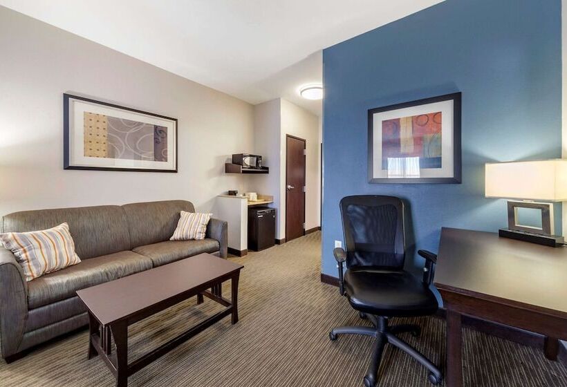 سوییت, Comfort Inn & Suites Oklahoma City West  I40