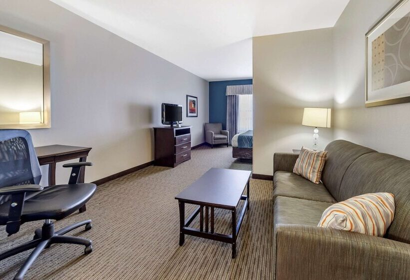 سوییت, Comfort Inn & Suites Oklahoma City West  I40