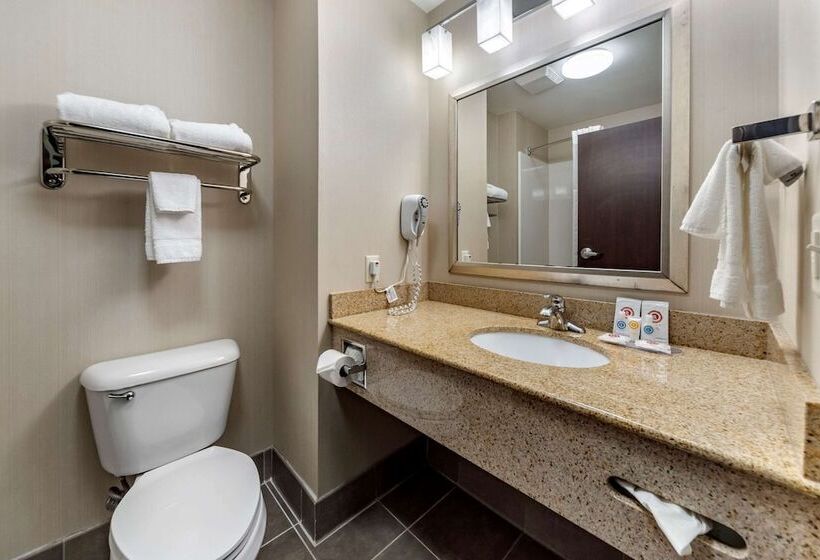 سوییت, Comfort Inn & Suites Oklahoma City West  I40