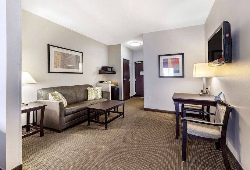 سوییت, Comfort Inn & Suites Oklahoma City West  I40