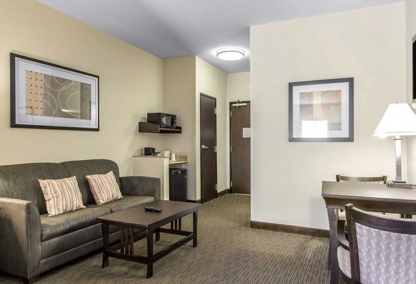 سوییت, Comfort Inn & Suites Oklahoma City West  I40