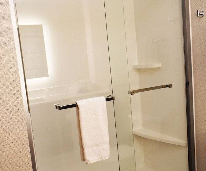 스위트, Holiday Inn Express Hotel & Suites Albany, An Ihg