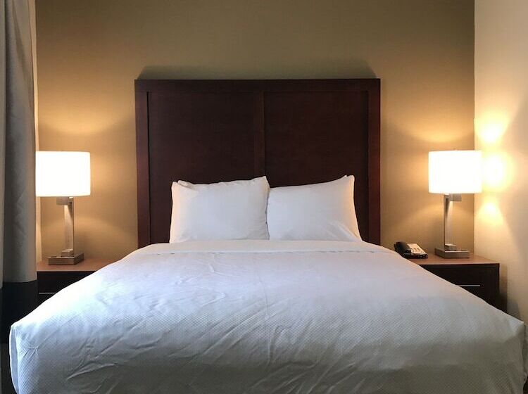 스탠다드 룸, Comfort Suites