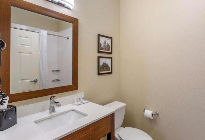 스탠다드 룸, Comfort Suites